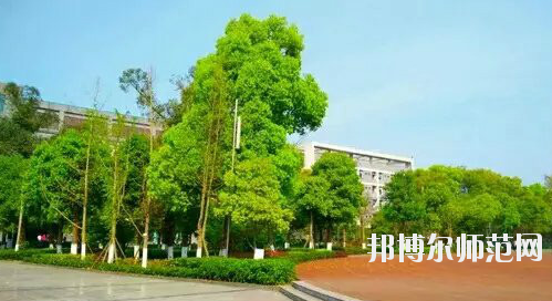 重慶市九龍坡幼師職業(yè)教育中心怎么樣、好不好。