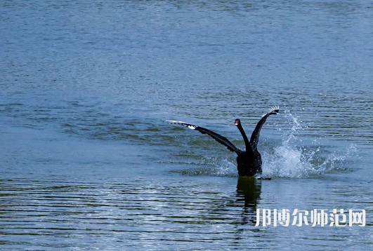 浙江師范大學2023年怎么樣、好不好