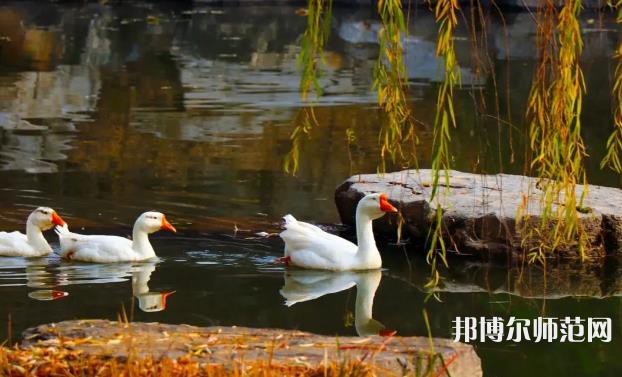 山東財經(jīng)師范大學萊蕪校區(qū)2023年報名條件、招生要求、招生對象 