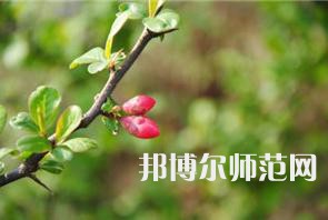 西安幼兒師范職業(yè)學(xué)校2023年學(xué)費(fèi)、收費(fèi)多少