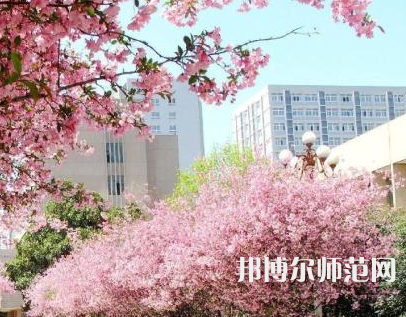 中國礦業(yè)師范大學(xué)徐海學(xué)院2023年報名條件、招生要求、招生對象