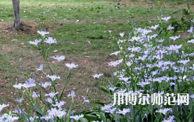 湖南第一師范學(xué)院城南書院校區(qū)2023年怎么樣、好不好