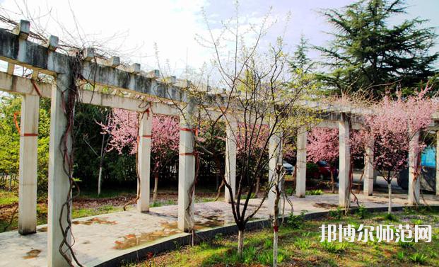 西安建筑工程幼師技師學(xué)院2023年有哪些專業(yè)