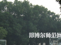 湖南師范大學(xué)樹(shù)達(dá)學(xué)院2023年招生代碼