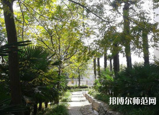 西北大學(xué)師范學(xué)院桃園校區(qū)2023年怎么樣、好不好